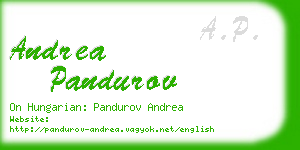 andrea pandurov business card